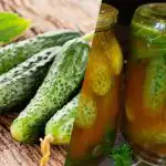 Kaip aplieti agurkus čili kečupu žiemai: 3 neprilygstami receptai