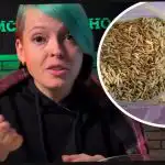 Kaip išsirinkti žaliąją trąšą ir nustebinti kaimynus derliumi: veiksmingą patarimą