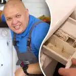 Kaip išvalyti skalbimo mašiną nuo pelėsio ir kvapo: pigūs ekspertų patarimai Kaip išvalyti skalbimo mašiną nuo pelėsio ir kvapo: pigūs ekspertų