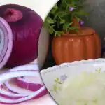 Kaip skaniai marinuoti svogūnus „Shuba“ - paprastas ir greitas receptas