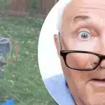 Keistas atradimas prie medžio kaimynę suglumino: kokią paslaptį ji slepia?