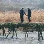 Kodėl mes bijome laimės santykiuose: sabotažas, kurio niekas nepastebi kodel-mes-bijome-laimes-santykiuose-sabotazas-kurio-niekas-nepastebi.jpg