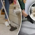 Neliks jokių pėdsakų: 7 žingsniai pašalinti šlapimo kvapą nuo kilimo Neliks jokių pėdsakų: 7 žingsniai pašalinti šlapimo kvapą nuo kilimo