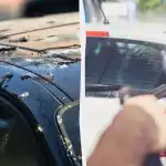 Paukščiai nebesigaus ant automobilių: štai ką reikia padaryti