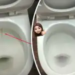 Vienas produktas išbalins klozetą iki blizgesio: kaip susitvarkyti su apnašomis